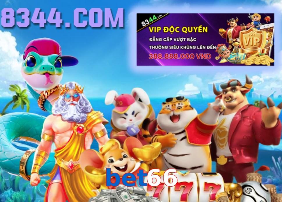 bet66